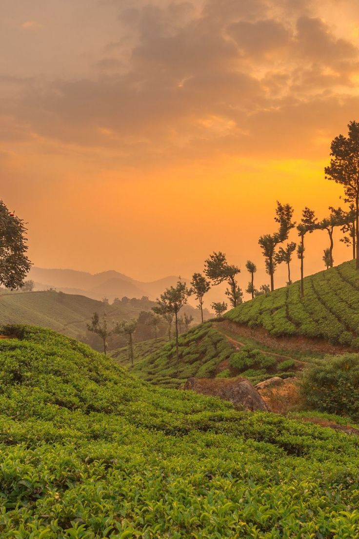 Munnar